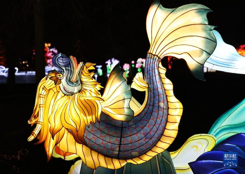 ‘????’ ??? ??? ?????? ??? ?? [12? 14? ??/?? ??: ???]