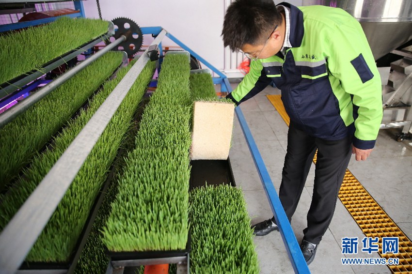 ??? ? ???? ???? ???? [?? ??: ???]