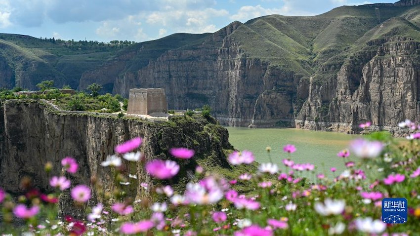 ??? ?????? ?? ??? ?? ??? [2023? 8? 24? ??/?? ??: ???]