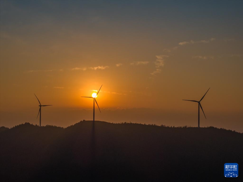 ?????? ?? ??? [1? 10? ?? ??/?? ??: ???]