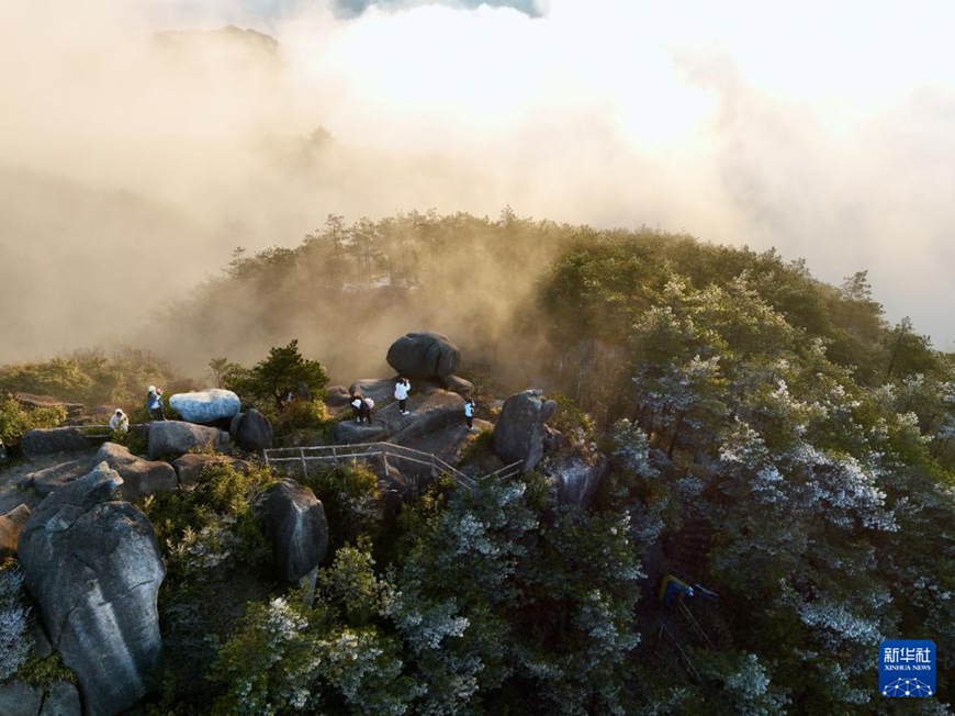 ????? ?? ????? ??? ??? ?? ??? ????. [3? 3? ?? ??/?? ??: ???]