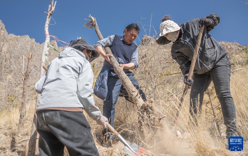 3? 12?, ???? ??? ?? ??.