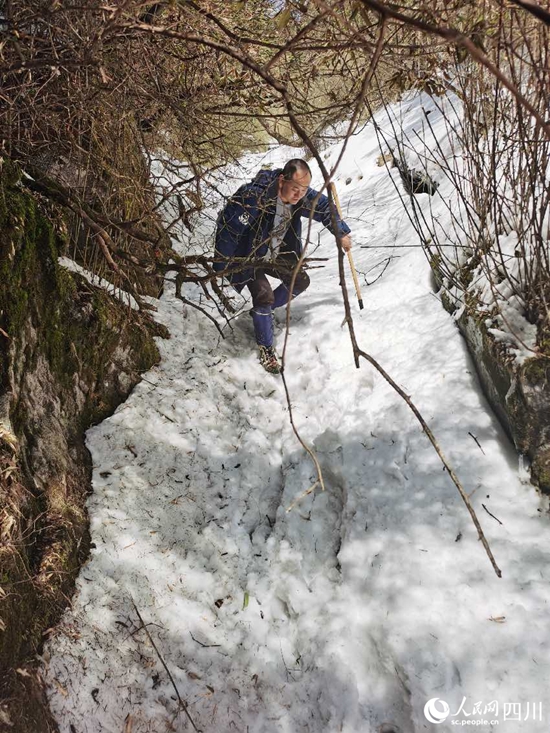 ????? ?? ?? [?? ??: ????(楊貴平)]