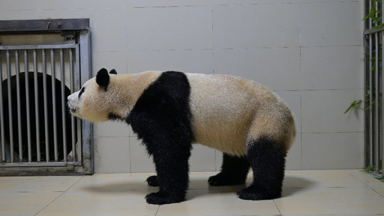 4? 4?, ???? ??? ??? ????