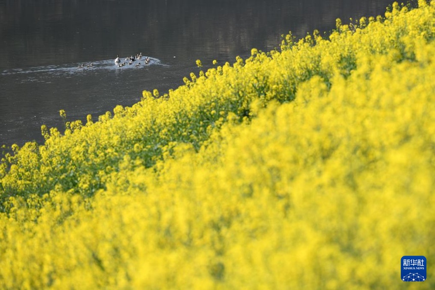 ???? ??? ?? ???? ?? [3? 21? ??/?? ??: ???]