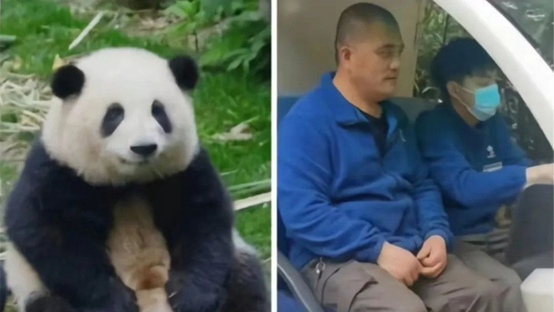 ?? ???? ??? ???, ???? ??? ‘??’? ? ????