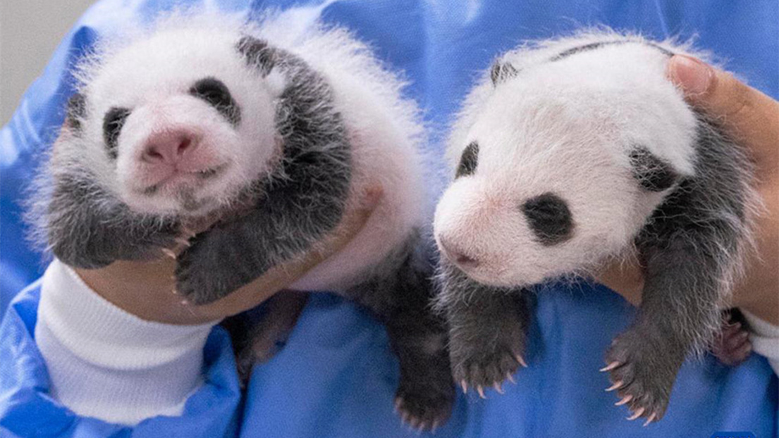 ????, 韓? ?? ? ? ??? ??? ??