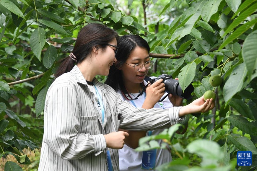 ?????? ??????? ?????? ???? ????? ????. [7? 12? ??/?? ??: ???]