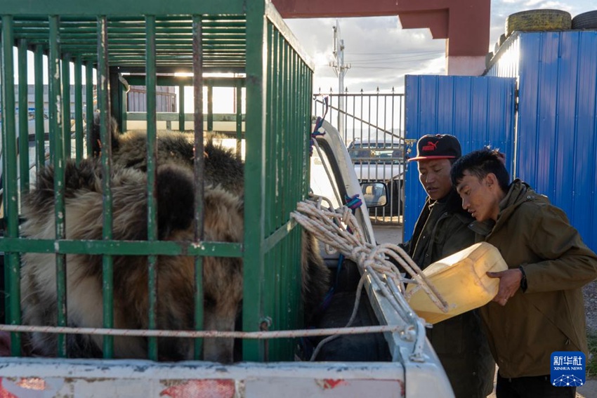 ??????? ?? ??? ??? ????(羅布玉杰) ??????????? ??? ???? ?????? ????. [8? 30? ??/?? ??: ???]