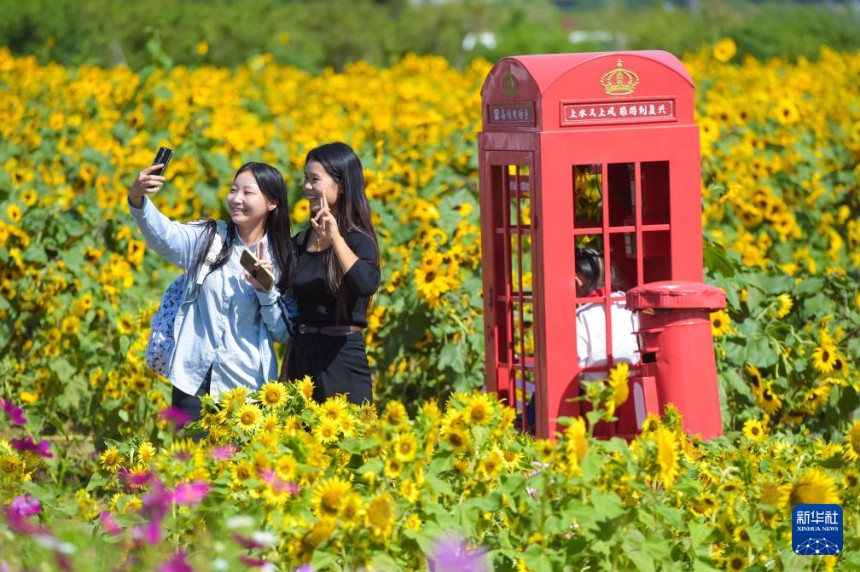 ???? ???(河北)? ??(邯鄲)? ????(東高河)? ?????? ??? ???. [10? 1? ??/?? ??: ???]