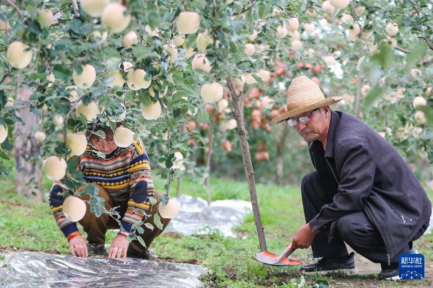 ??? ?? ??? ?? ?? ?? ????? ????. [10? 1? ??/?? ??: ???]