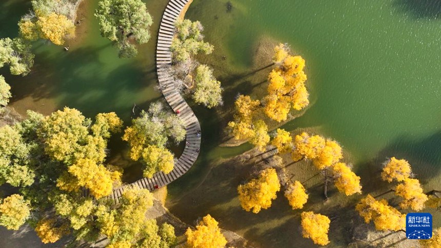 ????? ???? ???? ???? ??? ???? ????. [10? 13? ?? ??/?? ??: ???]