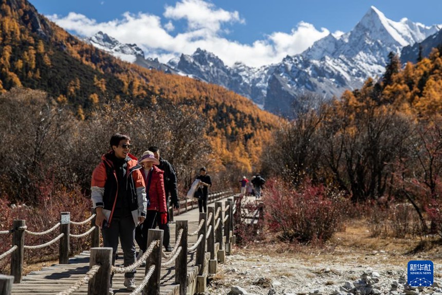 ????? ??? ?? ?????? ??? ?? ???? ???. [10? 31? ??/?? ??: ???]