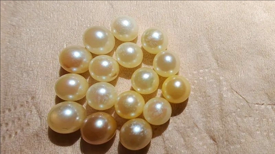 ?? ????? ???? ??? ??????