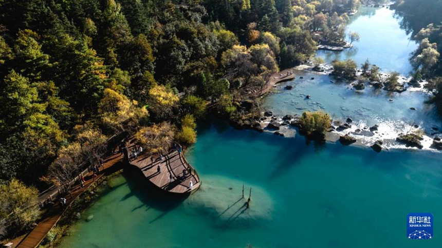 ????? ???(藍月谷) ?? [11? 9? ?? ??/?? ??: ???]