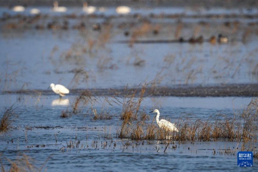 ??? ??????? ??? ???. [11? 12? ??/?? ??: ???]