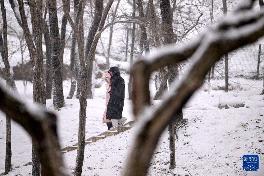 ??? ? ?? ?? ??? ???? ??? ??? ?? ??? ??. [11? 24? ??/?? ??: ???]