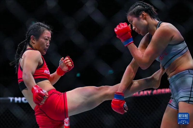 ??(??? ???)? ????? ??? ??? ??. [11? 23? ??/?? ??: ???]