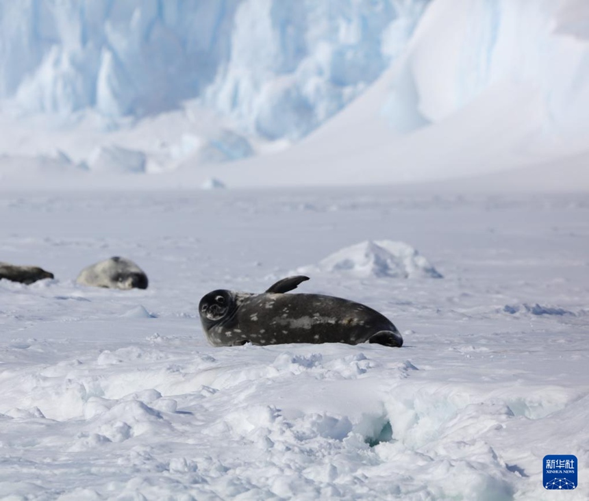 ?? ???? ??? ???? [12? 1? ??/?? ??: ???]