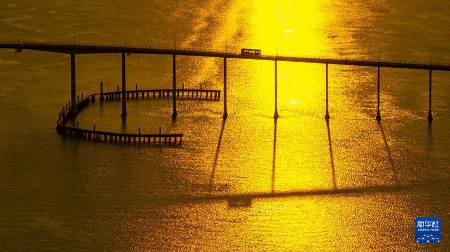 ?? ? ?? ??? ???? ?? ??? ????. [8? 8? ??/?? ??: ???]