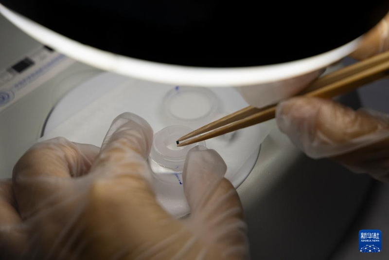 ????? ?? ? ??????? ?? ??? ????? ????? ????? ?? 6? ? ????? ????. [12? 20? ??/?? ??: ???]