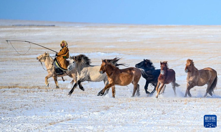 ??????? ???? ???? ?? ????. [12? 12? ??/?? ??: ???]