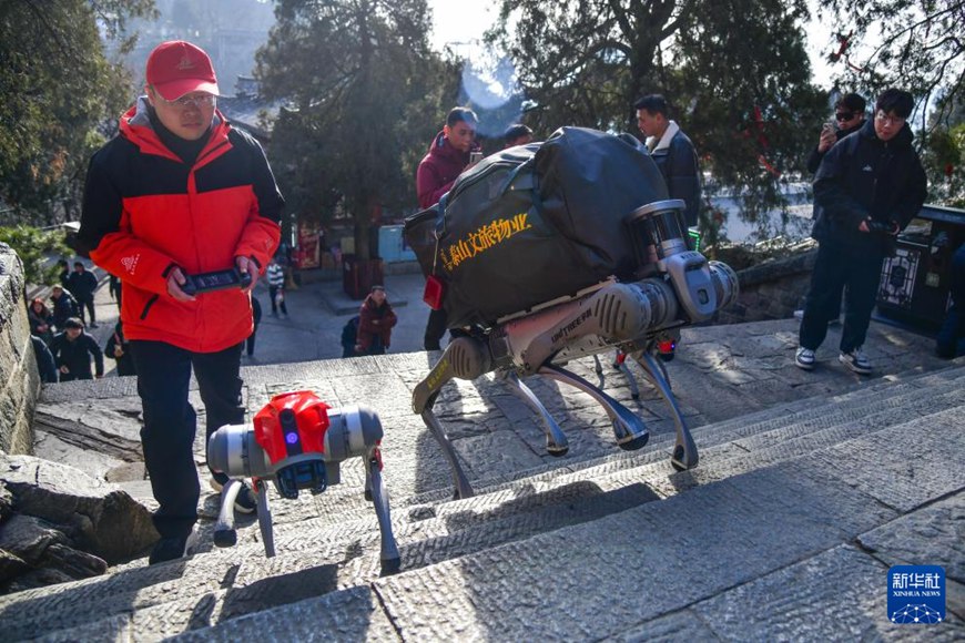 ???? ?? ?? ?????. [2024? 12? 30? ??/?? ??: ???]