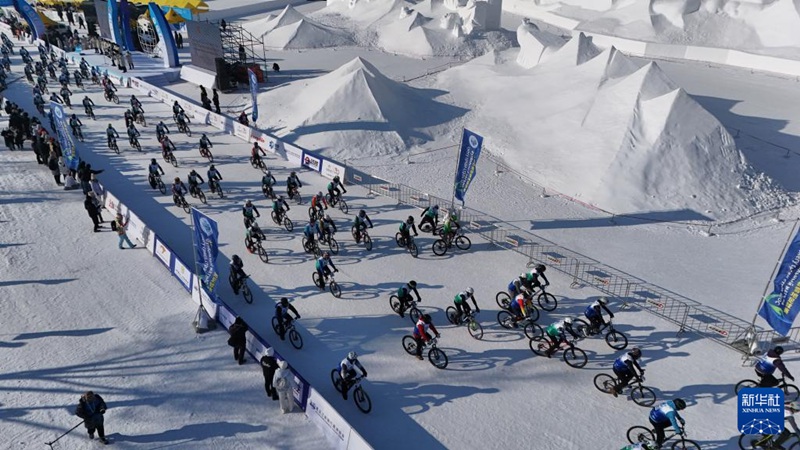 ???? ?? ?? [1? 11? ?? ??/?? ??: ???]