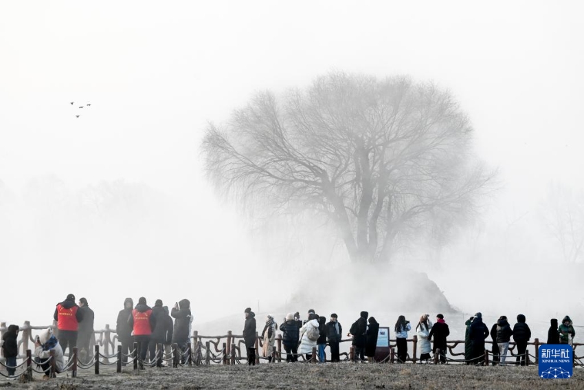 ??? ????? ???? ?????? ?? ????. [1? 11? ??/?? ??: ???]