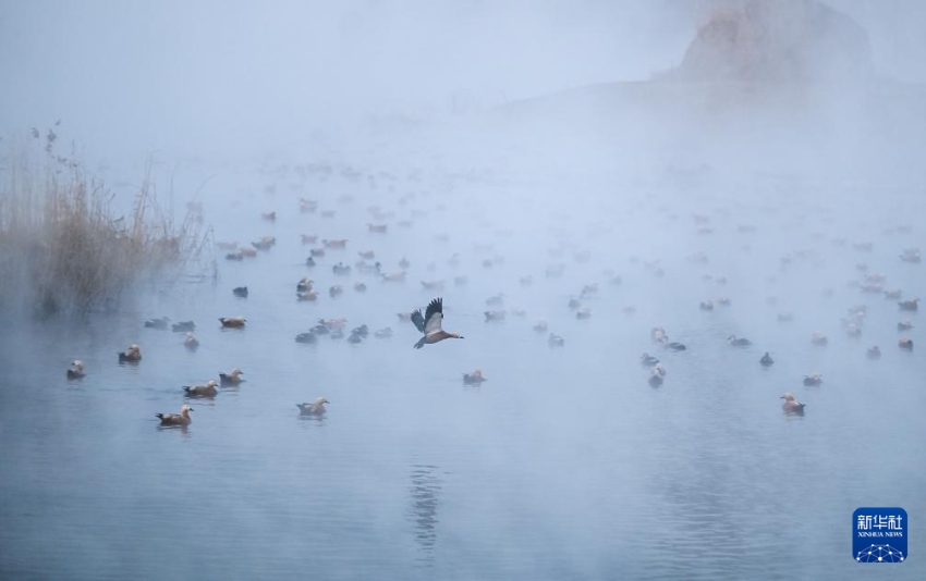 ???? ???? ‘????’ ?? [1? 11? ??/?? ??: ???]