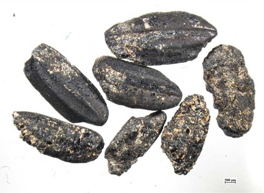 ??? ????? ??? ??? [?? ??: ???]