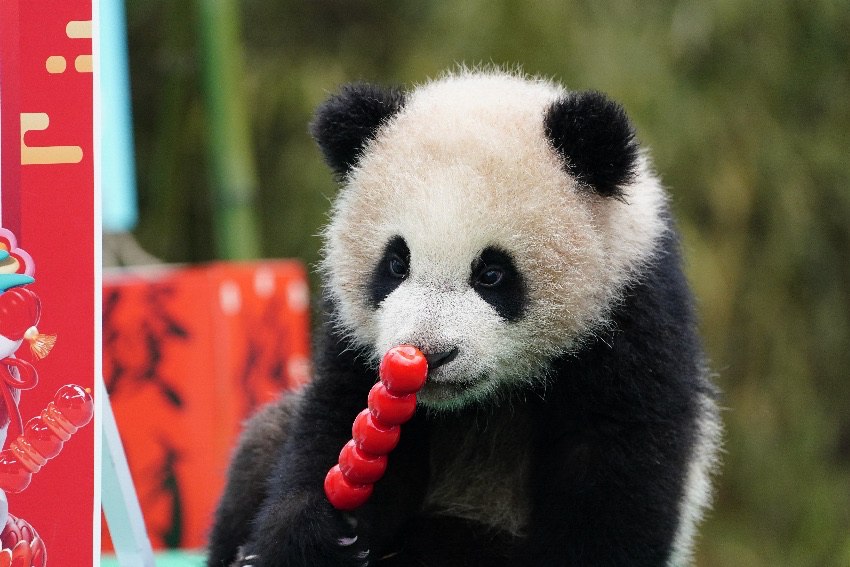 [?? ??] 2024?? ?????? ???? “?? ? ?? ????”