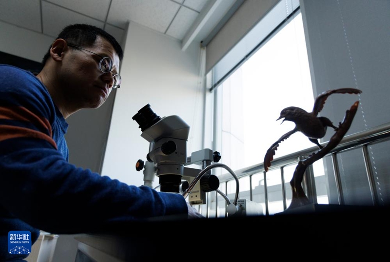 ????????? ???? ??(王敏) ???? ????? ?? ??? ???? ???, ???? ????? ??? ?? ??. [2? 10? ??/?? ??: ???]