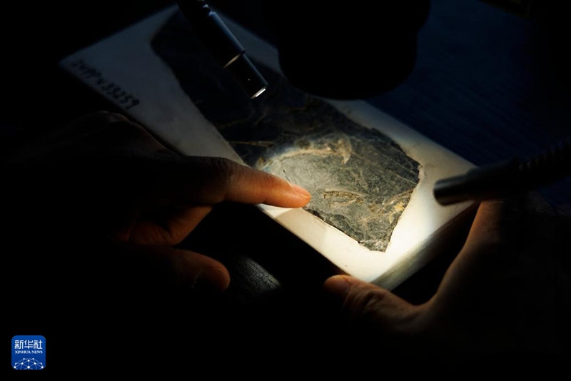 ????????? ???? ?? ???? ????? ?? ??? ???? ???, ???? ?? ??? ????. [2? 10? ??/?? ??: ???]