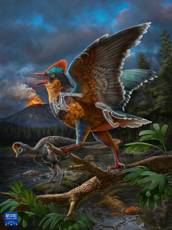 ?????? ????? ????? [?? ??: ????????? ???]