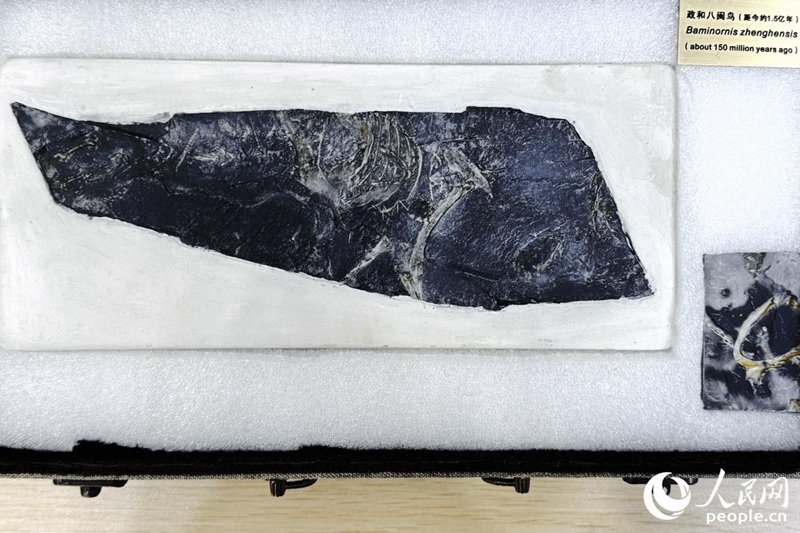 ????? ?? ?? [?? ??: ???]