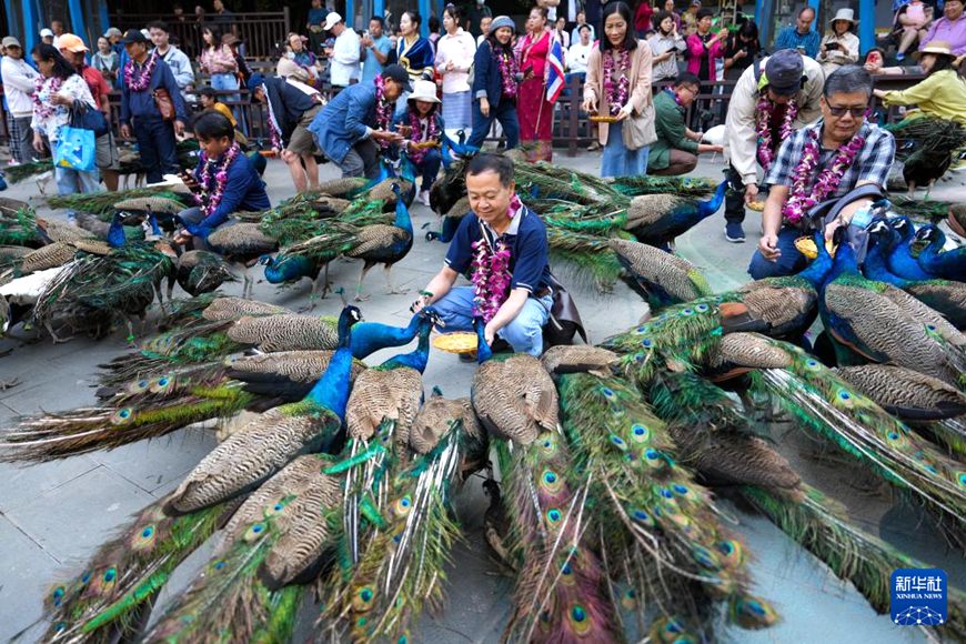 ????? ???? ? ????? ???? ??? ?? ??. [2? 19? ??/?? ??: ???]