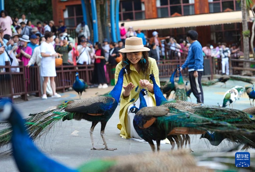 ???? ???? ? ????? ???? ??? ?? ??. [2? 19? ??/?? ??: ???]