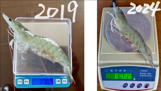 2019?? 2024? ?? ?? ??