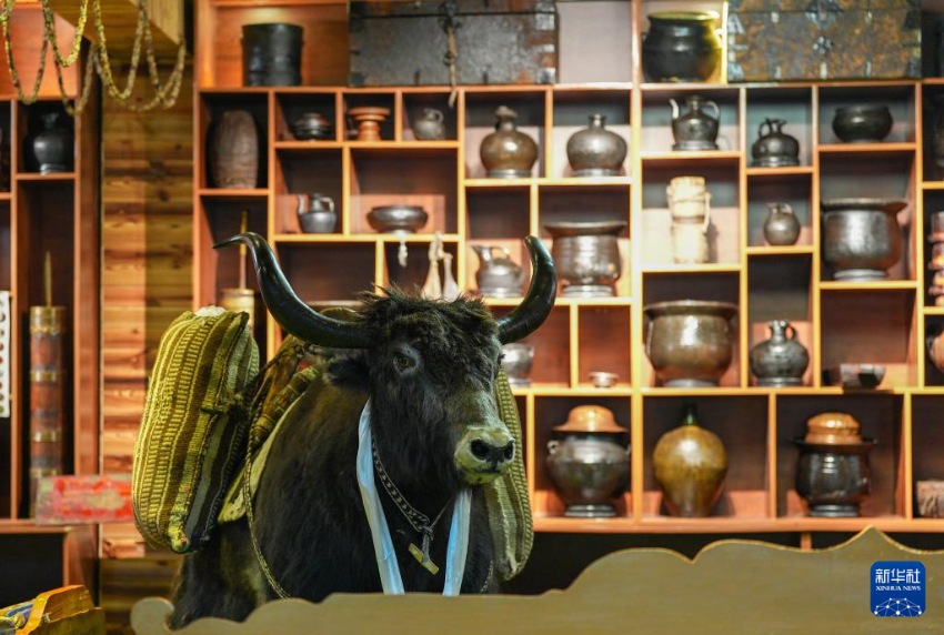 ?? ??? ‘????’ ??? ??? ? ?? [2? 13? ??/?? ??: ???]