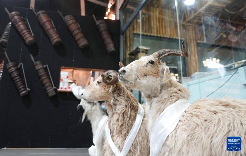 ?? ??? ‘????’ ??? ??? ? ?? [2? 13? ??/?? ??: ???]