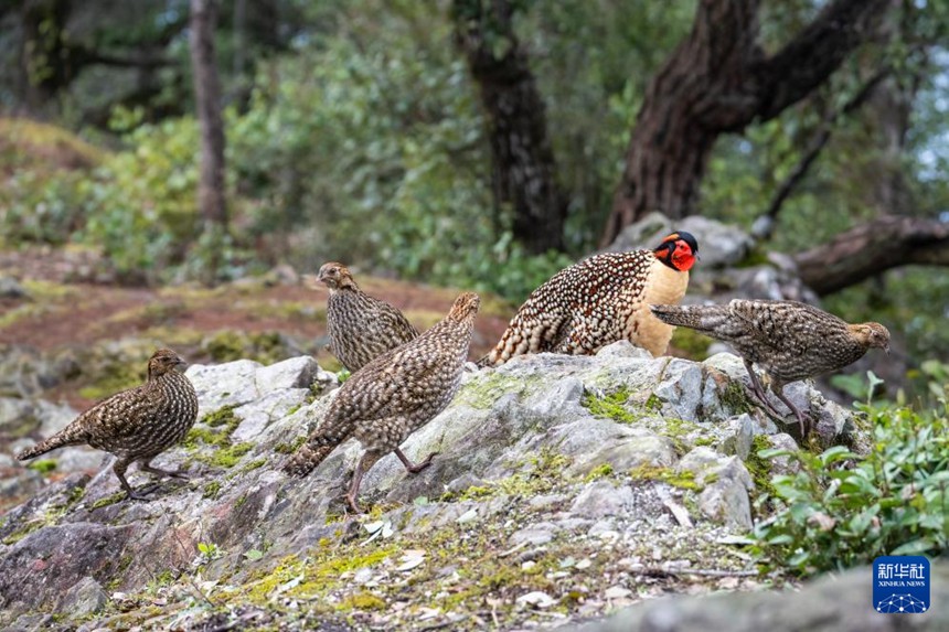 ??? ???? ??????? ? ??? ??????? ??? ?? ??. [3? 9? ??/?? ??: ???] 