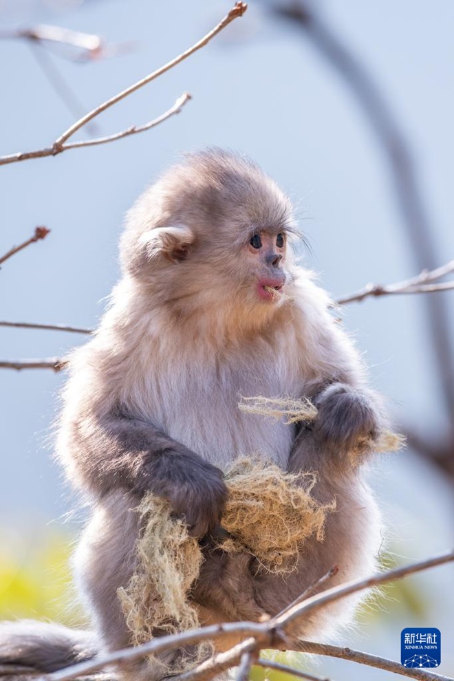 ????? ??? ?????? ???????? [3? 10? ??/?? ??: ???]