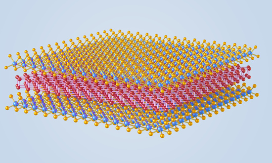 ?? ??? ?????? ???? ?? ?? ???? [?? ??: ????? ?????]