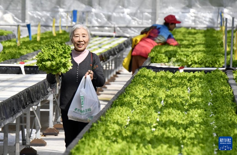 ???? ???? ??? ???? ??? ??? ???? ??. [3? 18? ??/?? ??: ???]