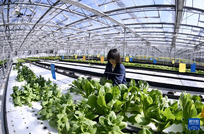 ???? ??? ??? ??? ???? ???? ??? ?? ??? ???? ??. [3? 18? ??/?? ??: ???]