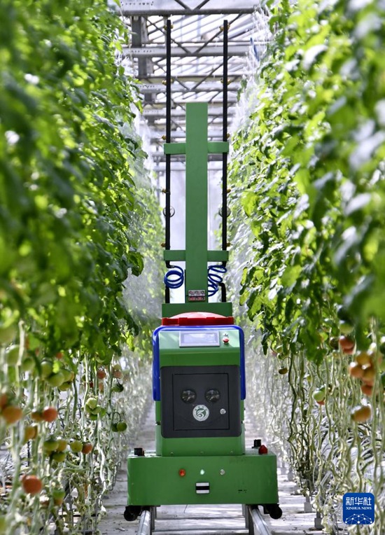 ???? ??? ??? ?? ? ??? ?? ??? ???? ??? ???? ?? ???. [3? 18? ??/?? ??: ???]