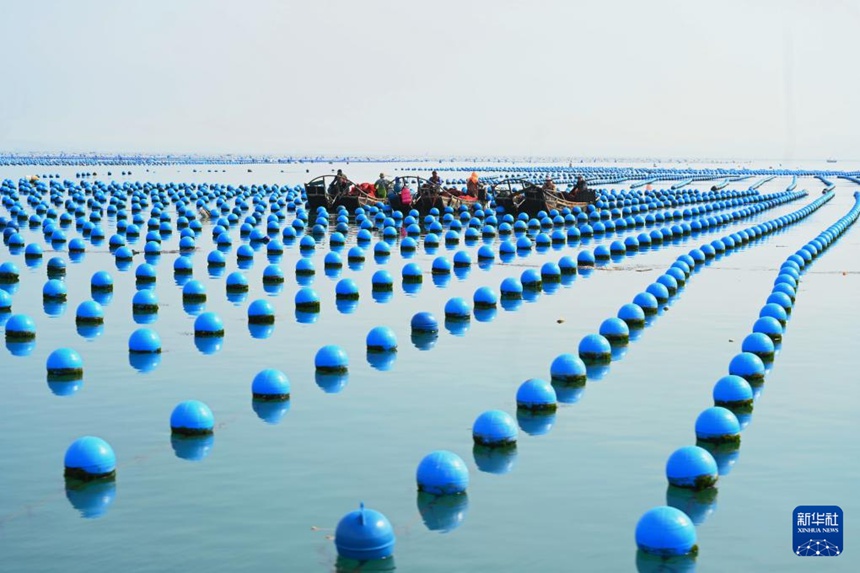 ?? ??, ?? ?? ?? ?? ??