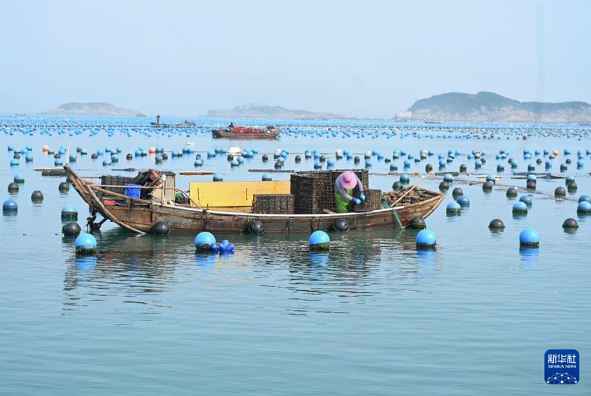 ??? ???? ?? ???? ???? ??? ??? ???? ???? ??. [3? 12? ??/?? ??: ???]