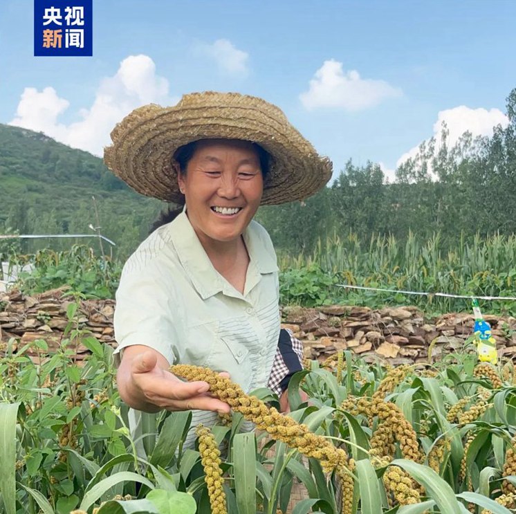 農婦→‘?? ??’?? ??…?? ??? ???? ?? ???